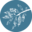 jennifercreative.com icon