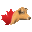 jerseycanada.com icon