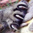 jfcarter.net icon