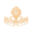 jigmerinpoche.org icon
