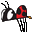 jijislief.nl icon
