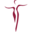 johannesbad-hotels.com icon