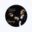 josephflummerfelt.com icon