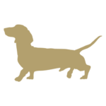 josephs-koeln.de icon