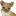 jouwdierenzaak.nl icon