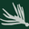 jsflyfishing.com logo