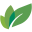 junyiqy.com icon