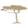 justinpeters.org icon
