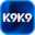 k9k9.blue icon