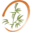 kahalanui.com icon