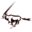 kalaharibreezesafaris.com icon