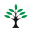 kalashseeds.com icon
