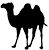 kamelen-te-huur.nl icon