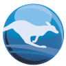 kanguru.com icon