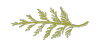 Kaniksu Community Health logo