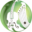 kansanmusiikkiliitto.fi icon