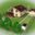 karelskiebesedki.ru icon