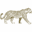 karongwe.com icon