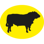 karpaten-meat.com icon