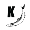kaseberga-fisk.se icon