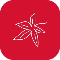 kastanienhof-koeln.de icon