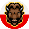 kasynonajlepsze.com icon