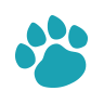 kathyspamperedpaws.com icon