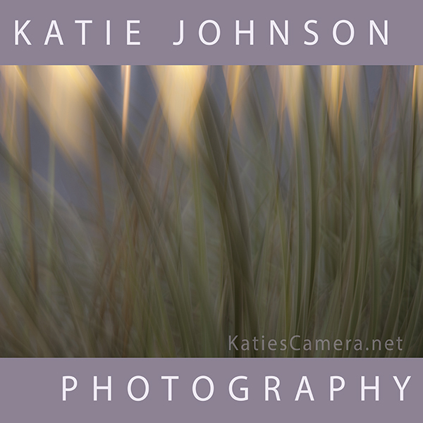 katiescamera.net icon