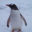 katsuster.net icon