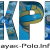 kayak-polo.info icon