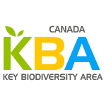 kbacanada.org icon