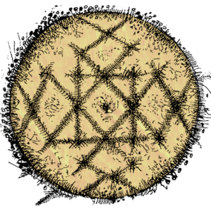 keesokx.com logo