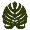 kensphilodendrons.com icon