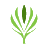 kernelequity.com icon
