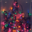 kerstboom-verlichting.nl icon