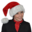 kerstmutskopen.nl icon