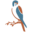 Kestrel Ridge Golf Club logo
