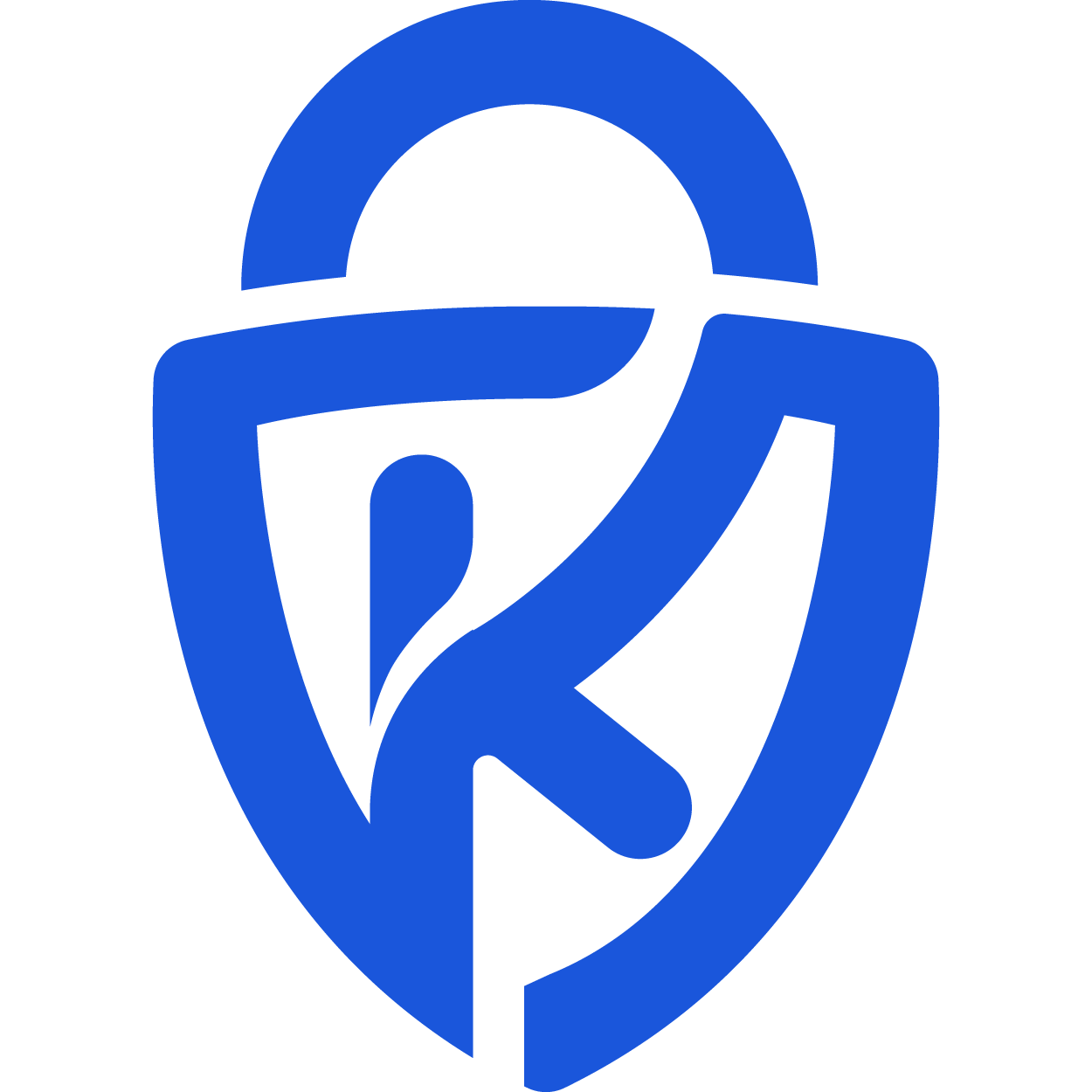 keyauth.cc icon