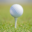 Key West City Golf Club logo