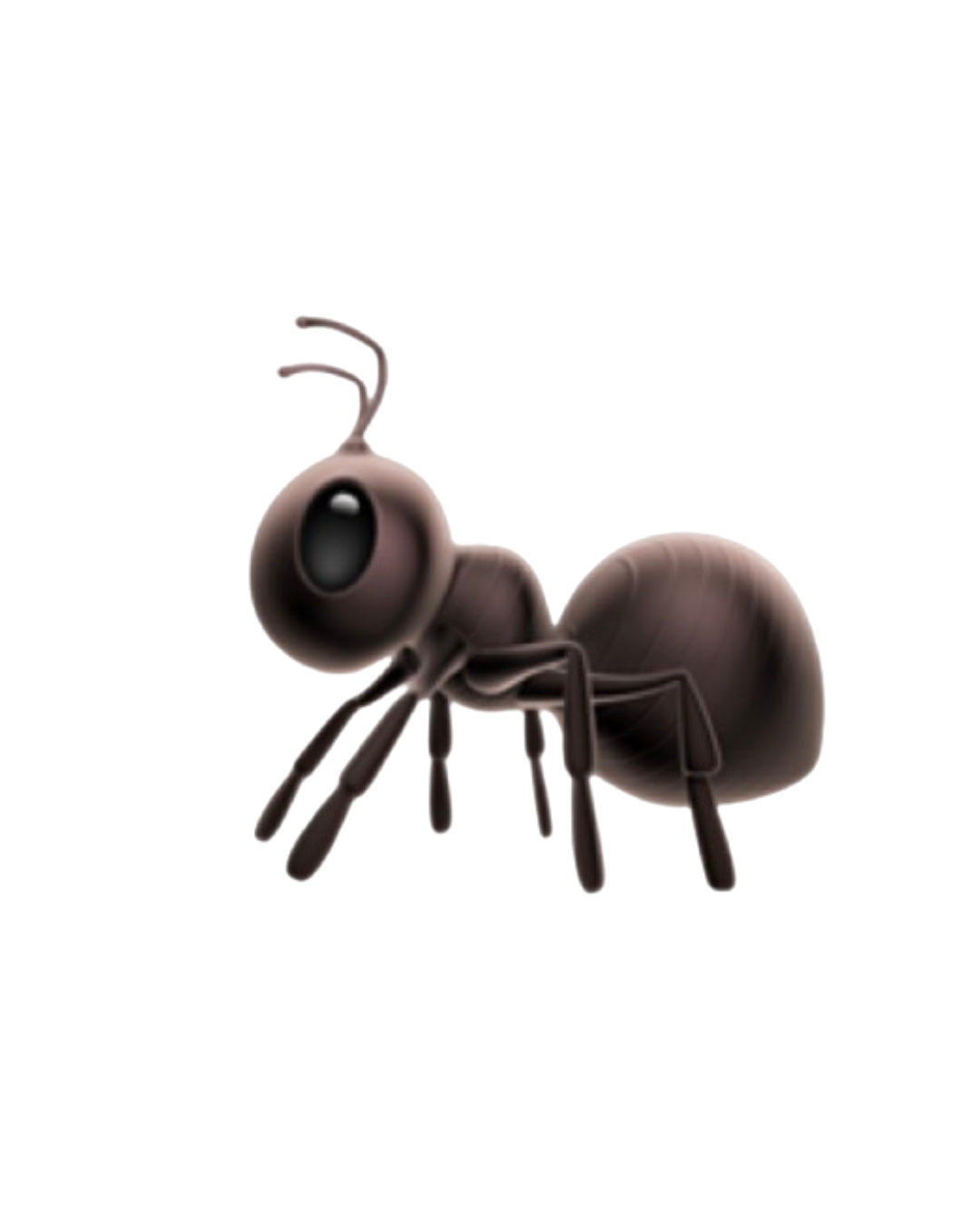 kflay.com icon