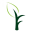 khaasfood.com icon