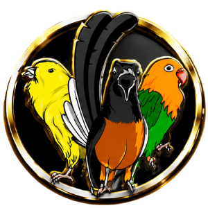kicautoto-rtp.com icon