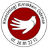 kinesiologiodense.dk icon