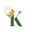 King Electric And Solar Inc logo