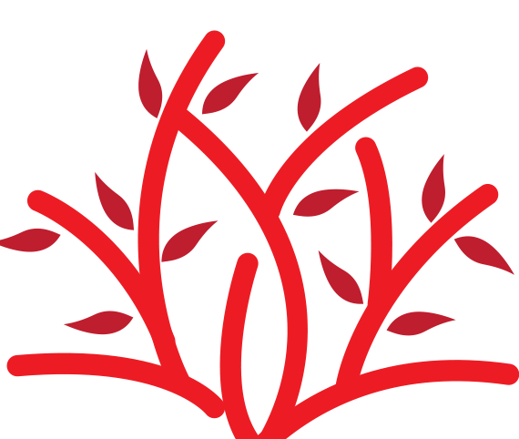 kingfacilities.com icon