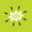 kiwicreative.net icon