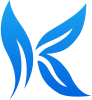 kkpay66.com icon