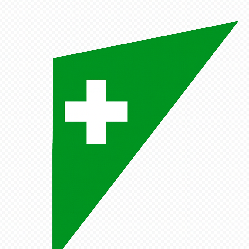 BDSWISS logo