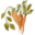 knf7.com logo