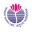 kolekarhospital.com icon